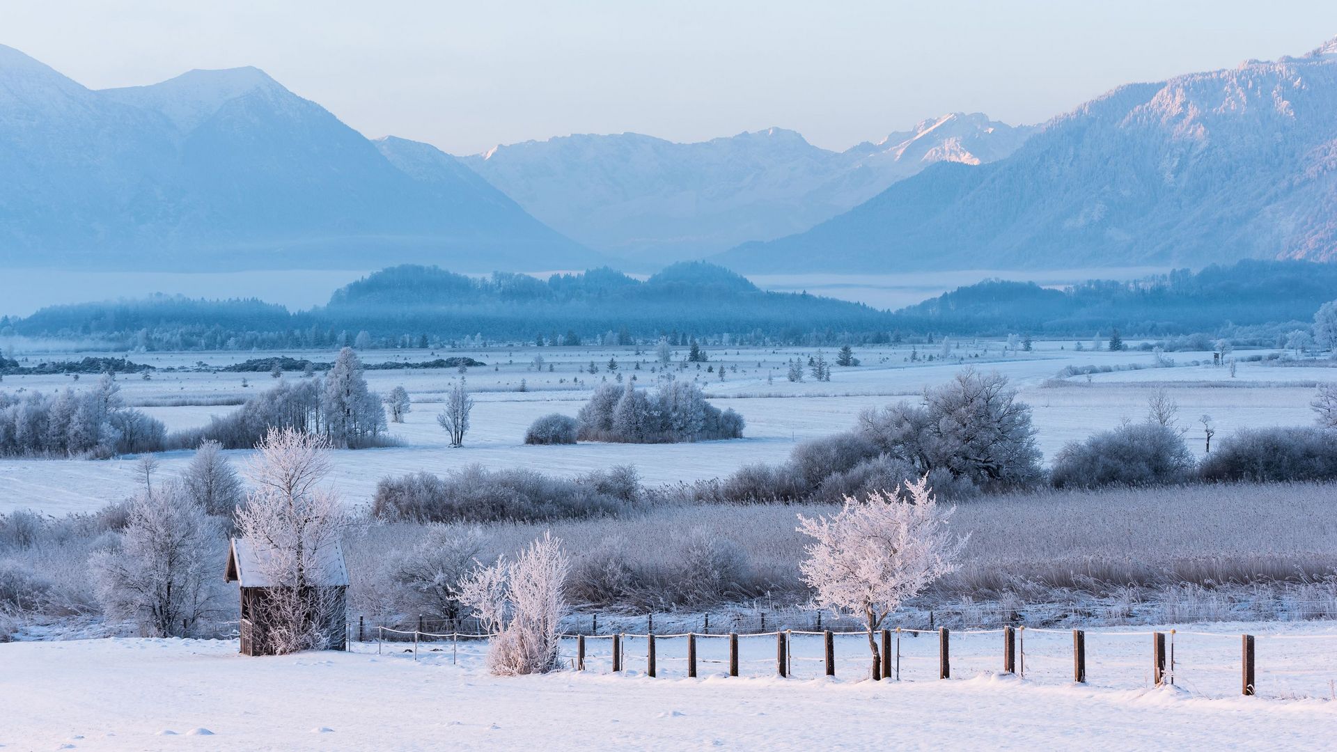 Winter im Murnauer Moos