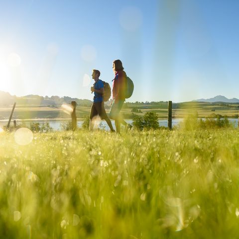 Wandern bei Sonnenaufgang im blauen Land