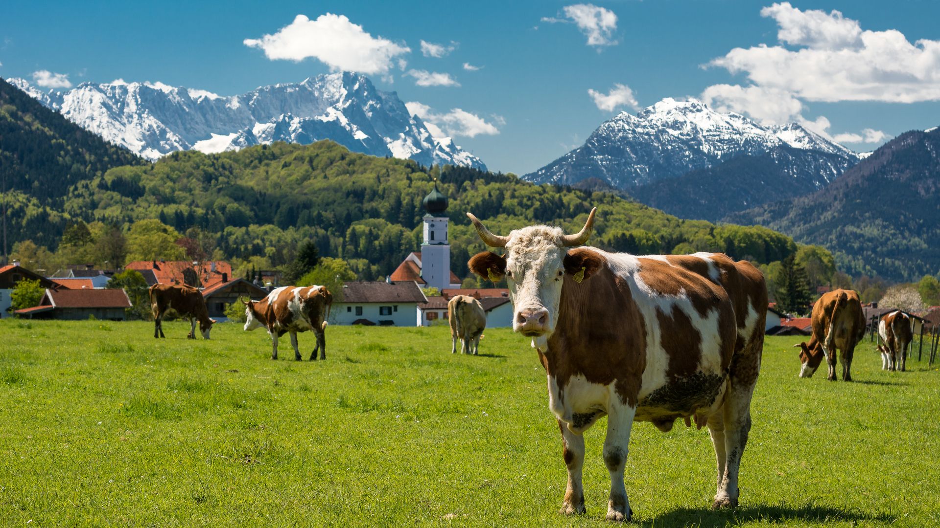 Idylle bei Ohlstadt im Blauen Land